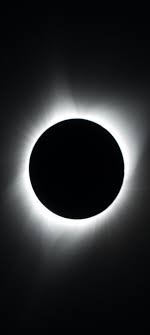 We did not find results for: 1080x2400 Hd Wallpaper 190