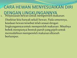 Anda dapat membuat hingga 3 profil lina dengan kriteria kecocokan pekerjaan yang berbeda. Standar Kompetensi 3 Mengidentifikasi Cara Maklhluk Ppt Download
