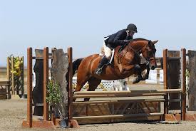 Rainbow Canyon Ranch Client Gallery