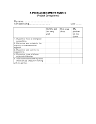 Peer Review Assessment Rubric High School Google Search Assessment Rubric Rubrics Writing Curriculum