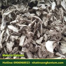 Sâm Bố Chính Nhật Trường Kon Tum (Thái Lát) - Abelmoschus sagittifolius  Vietnam dried - Túi 1kg