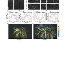 Adam de la Zerda's research works
