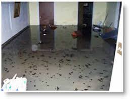 Here's what you can do: Dealing With Sewer Backup Do S And Don Ts Sewage Backup