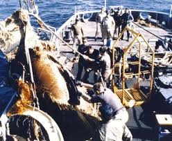 Safety has been lakewood's main priority since the company was formed. Challenger Sts 51 L Part 4 4 End Of Innocence