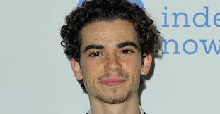 191,960 likes · 48 talking about this. Disney Star Cameron Boyce 20 Litt An Epilepsie