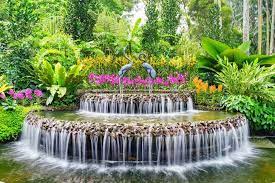 National orchid garden was opened on 20 october 1995 by minister mentor lee kuan yew.1. Enjoy Orchid At National Orchid Garden Must Do In Singapore