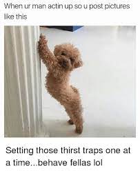 New Term Of The Day Thirst Trap Animals Funny Memes Workout Humor
