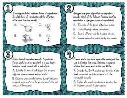 Meiosis worksheet answer key meiosis phase worksheet answer key. Pin On Workouts