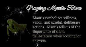 Praying Mantis Totem Meaning Symbolism Praying Mantis Totem Praying Mantis Symbolism