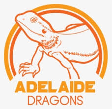 Here you can explore hq bearded dragon lizard transparent illustrations, icons and clipart with filter setting like size, type, color etc. Lizard Png Images Transparent Lizard Image Download Page 4 Pngitem