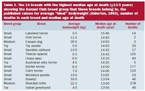 Lifespan The Institute Of Canine Biology