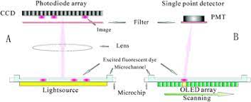 Diode array detector (dad, pda: Whole Column Fluorescence Imaging On A Microchip By Using A Programmed Organic Light Emitting Diode Array As A Spatial Scanning Light Source And A Single Photomultiplier Tube As Detector Lab On A