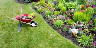 How to clean up garden for spring. Spring Yard Clean Up Salisbury Greenhouse
