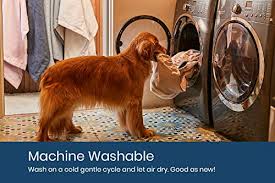 Now that you know what a. K9 Ballistics Easy Clean Dog Bed Washable Orthopedic Urine Proof For Incontinent Dogs Slip Off Cover Medium 33 X27 X10 Grey Micro Pricepulse