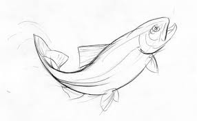 Pin By Tracey Martiny On For The Home Fish Drawings Fly Fishing Art Trout Painting