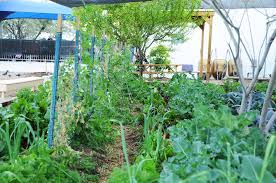 Annual giving manager at society of st. Bhn Assists St Vincent De Paul Mesa Urban Farm Fertilgold