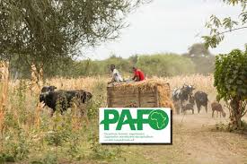 Pafo A Pan African Voice For Farmers Yenkasa Africa
