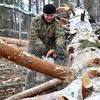 Иллюстрация к новости по запросу Мебельное и Лесное (Рамблер Новости)