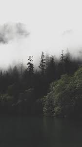 Get Latest Background For Iphone 11 Iphone 11 Pro 11 Pro Max Today Forest Wallpaper Foggy Forest Phone Backgrounds
