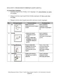 Setelah 5 tahun, pohon mangga tersebut berdaun lebat dan tumbuh besar. Nota Unit 5 Proses Hidup Tumbuhan Sains Tahun 4