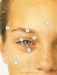 For english videos with subtitles, try yabla and fluentu. Human Body Parts Pictures With Names Body Parts Vocabulary Leg Head Face