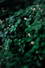 Get high quality free downloadable wallpapers for your mobile device. 550 Wallpaper For Mobile Pictures Download Free Images On Unsplash