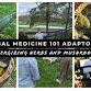 Herbal Medicine 101: Adaptogens: Energizing Herbs and Mushrooms