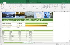 Microsoft Office 365 University 4 Year Pc Or Mac Download Pricepulse