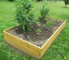 3 ft x 3 ft cedar raised garden all things. Infinite Cedar Raised Garden Bed Kit Review Gardener S Path