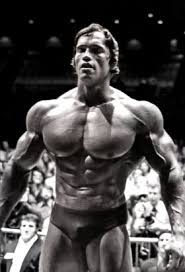 He went on to take the professional version of that. Pin By Chris Caballero On Fitness Schwarzenegger Bodybuilding Arnold Schwarzenegger Bodybuilding Bodybuilding Motivation