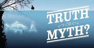 Ask yourself these questions as you look for fishing boats on sale so you can be sure to make a smart choice that. This Quiz Will Determine How Much You Really Know About Carp Fishing