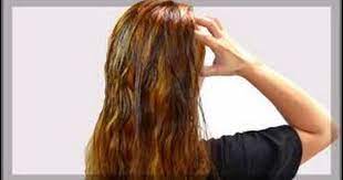 فوائد السدر للشعر العناية بالشعر خلطات للشعر الجاف خلطة للشعر السدر لتكثيف الشعر Hair Beauty Beauty Long Hair Styles