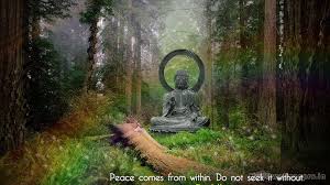 Maybe you would like to learn more about one of these? Free Download Buddha Hd Wallpaper For Desktop Widescreen Hd Wallpapers 1920x1080 For Your Desktop Mobile Tablet Explore 49 Buddha Hd Wallpaper Widescreen Hd Widescreen Wallpaper 1920x1080 Hd Widescreen Wallpapers