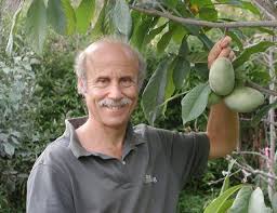 Fruit trees, shade and ornamental trees and seedlings wholesale, bare root fruit trees, shade and ornamental trees and seedlings by rusty mangrum nursery rusty mangrum nursery is a locally owned, wholesale nursery nestled in the heart of middle tennessee. Growing Native Fruit Trees Pawpaws And Persimmons With Lee Reich A Way To Garden