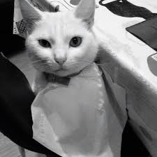 Gilbert Beilschmidt, Mabel Pines, Krampuss and Hector