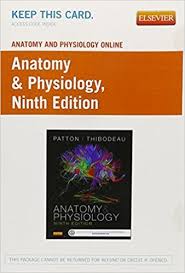 Located In New York City Lim Colleges Undergraduate Graduate Online Degrees Prepare You For A Care Management Degree Online Programs Business Management Degree