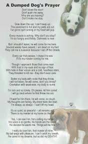 Horrible To Dump A Dog Dogs Dont Push Me Away Dog Quotes