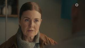 The Fox" Game over (TV Episode 2023)