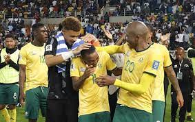 Bafana may have averted World Cup disaster over Teboho Mokoena suspension  bungle