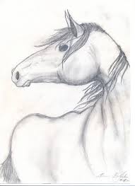 Subscribe this channel for more videos. Horse Mustang Drawing Black White Lead By Minnera On Deviantart