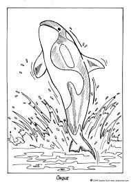 39+ killer whale coloring pages for printing and coloring. Pin On Arctique Et Antarctique