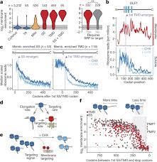 Cotranslational Signal Independent Srp Preloading During Membrane Targeting Nature