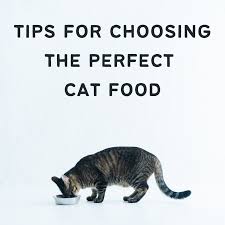 Check spelling or type a new query. How To Choose The Best Cat Food For Your Cat Pethelpful