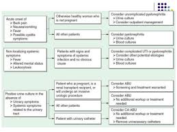 Urinary Tract Infection Uti