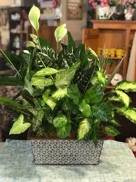 Remember that these are still real roses, so they will deteriorate over time. Wintercrest Garden Planter Flowers From The Heart