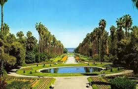 Jardin D Essai Algiers Algeria Places Around The World Tourism Beautiful Places