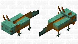 A lucky one who can defeat him can get a perfectly sliced piece of . Guardian Axolotl Minecraft Mob Skin