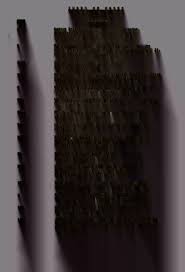 Image result for Pavetta hymenophylla