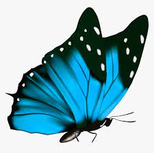 Transparent Blue Butterfly Clipart Blue Butterfly Transparent Background Hd Png Download Is Free T Butterfly Clip Art Butterfly Art Blue Butterfly Wallpaper