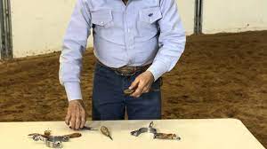 Riding warehouse crew member, tatiana, shares how to do it! Dennis Moreland Tack How To Attach Spur Straps With Button Covers Youtube